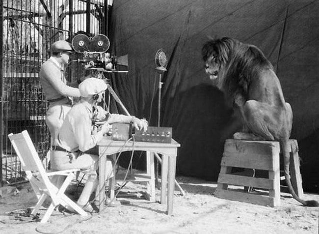 การถ่ายทำภาพสิงโตของ MGM [1929]