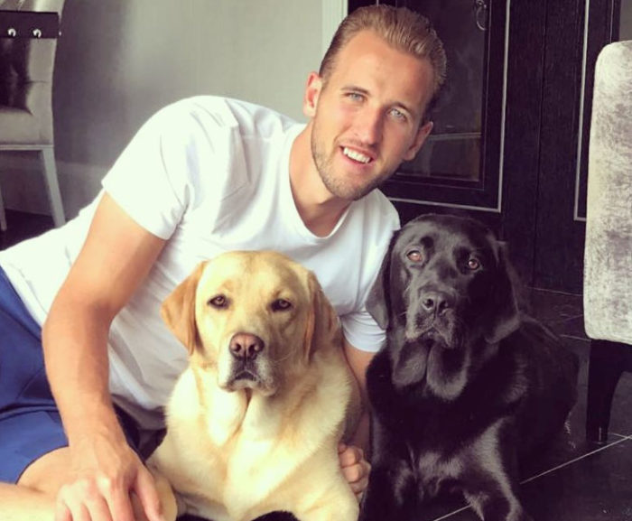 harry kane and his dogs tom brady and russell wilson