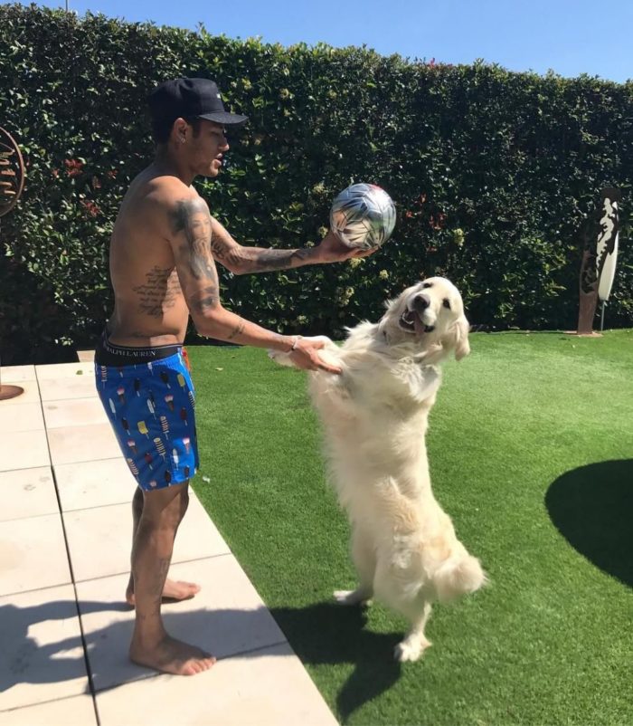 neymar and his dogs, poker, truco and flush