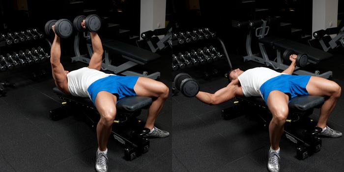 demonstration-of-flat-bench-dumbell-fly