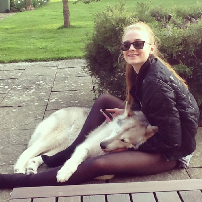 sophie turner is a dire wolf lover
