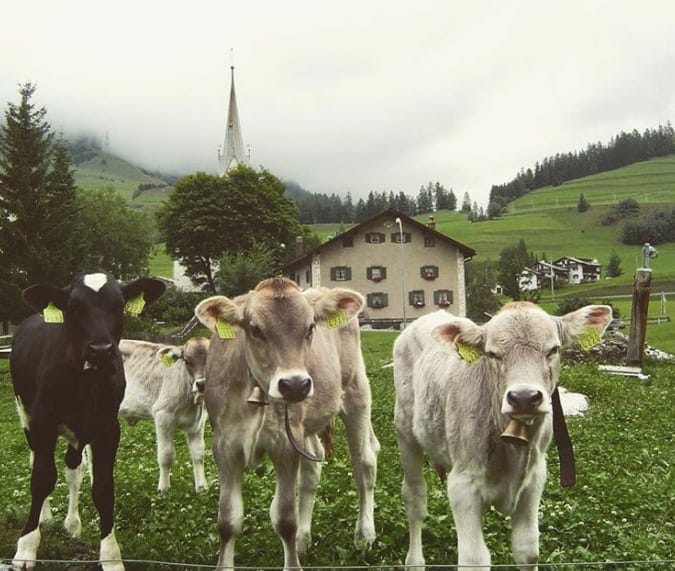 Szwajcarskie miasto, które jest tak piękne, że zakazało udostępniać swoich zdjęć na mediach społecznościowych