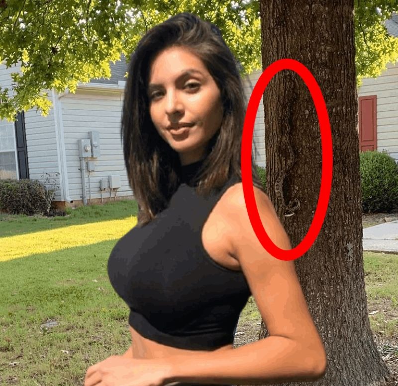 Chica posando para su foto delante de un árbol con una serpiente