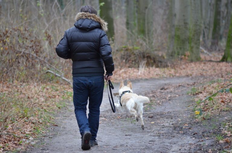 Hombre caminando detrás de un perro en el bosque