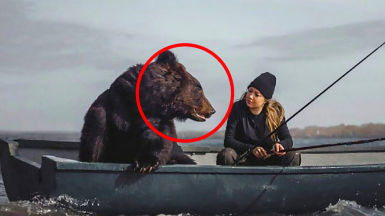 女は熊の親友-しかし、突然熊が思いがけない行動に出る…。