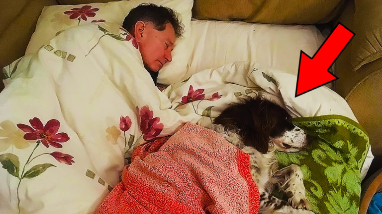 男は犬とベッドで寝ていましたが、犬が予期せぬことをします！