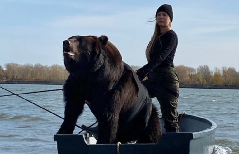 Il migliore amico di questa donna è un orso, ma un giorno l’orso fa qualcosa d’inaspettato