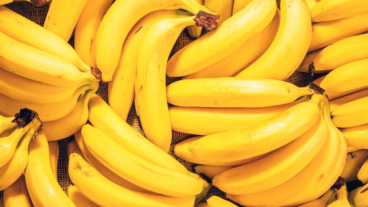 The Global Supply Chain of Bananas - from farms to your table | NIPPON EXPRESS