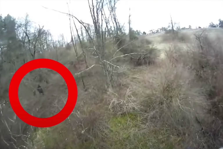 drone captures black thing between trees
