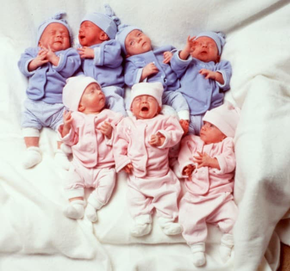 bayi kembar tujuh
