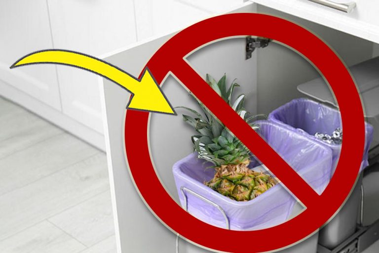 Don’t throw away crowns of pineapples. Do this instead!