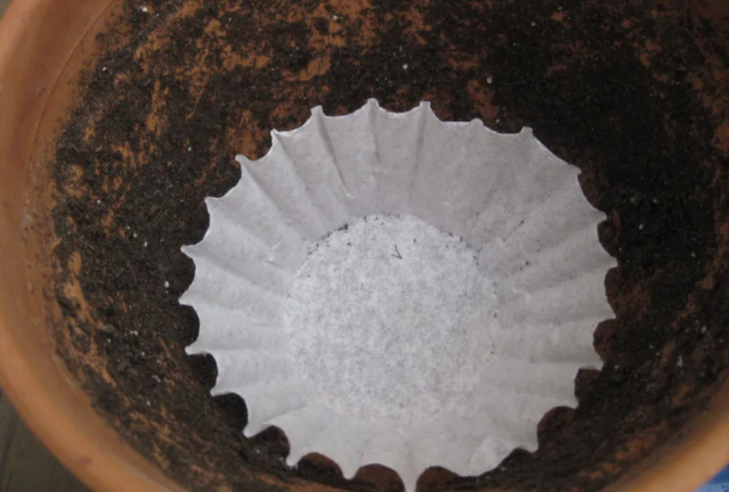 coffee filter in pot