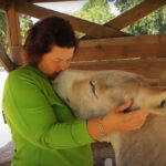 La femme devient amie avec l'âne - mais dès qu'elle fait un câlin à l'âne, elle a une telle réaction...
