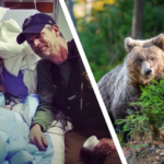 Niedźwiedź zaopiekował się chłopcem, który samotnie spędził 3 dni w lesie