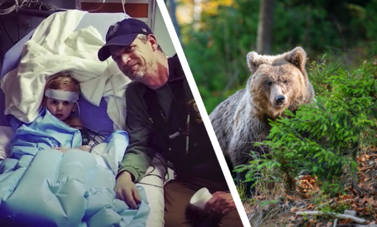 Niedźwiedź zaopiekował się chłopcem, który samotnie spędził 3 dni w lesie