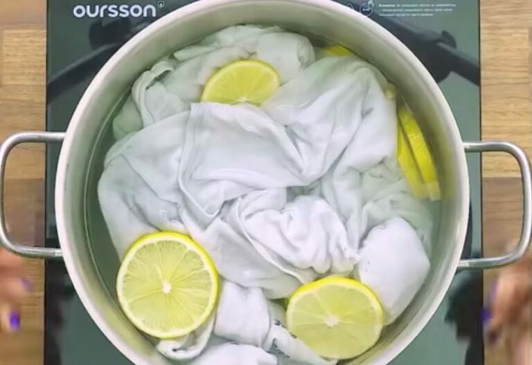 White shirt in a pot with lemon slices